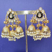 Black Kashmiri Jhumka Earrings, Gold-plated Dangler Earrings/Brass Jhumkas/Ethnic Gungroo earrings/Trendy earrings/Statement earrings